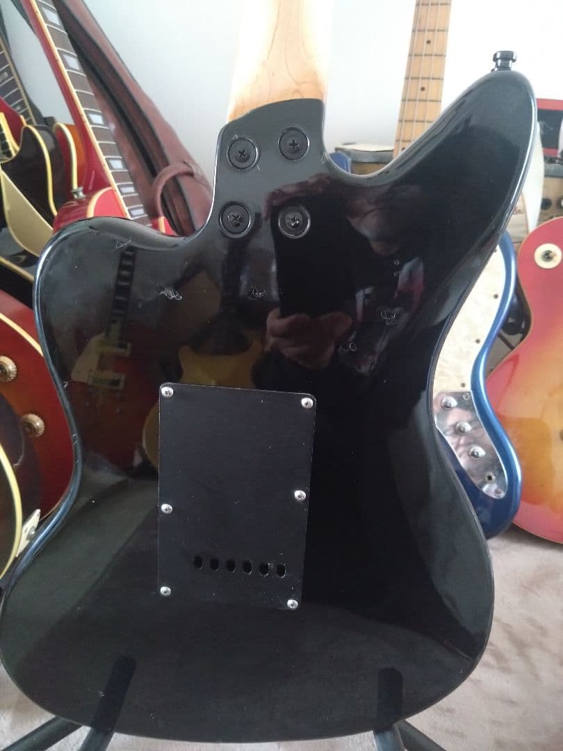 フェルナンデス JG-45　ソフトケースのオマケ付