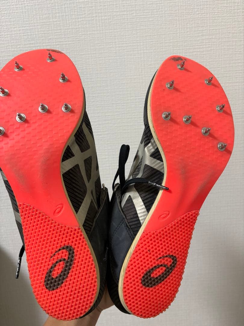 ソニックスカイプロ