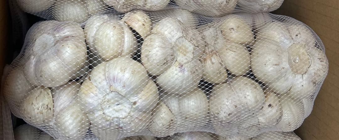 青森県産農薬不使用福地ホワイトMサイズにんにく5キロ送料無料