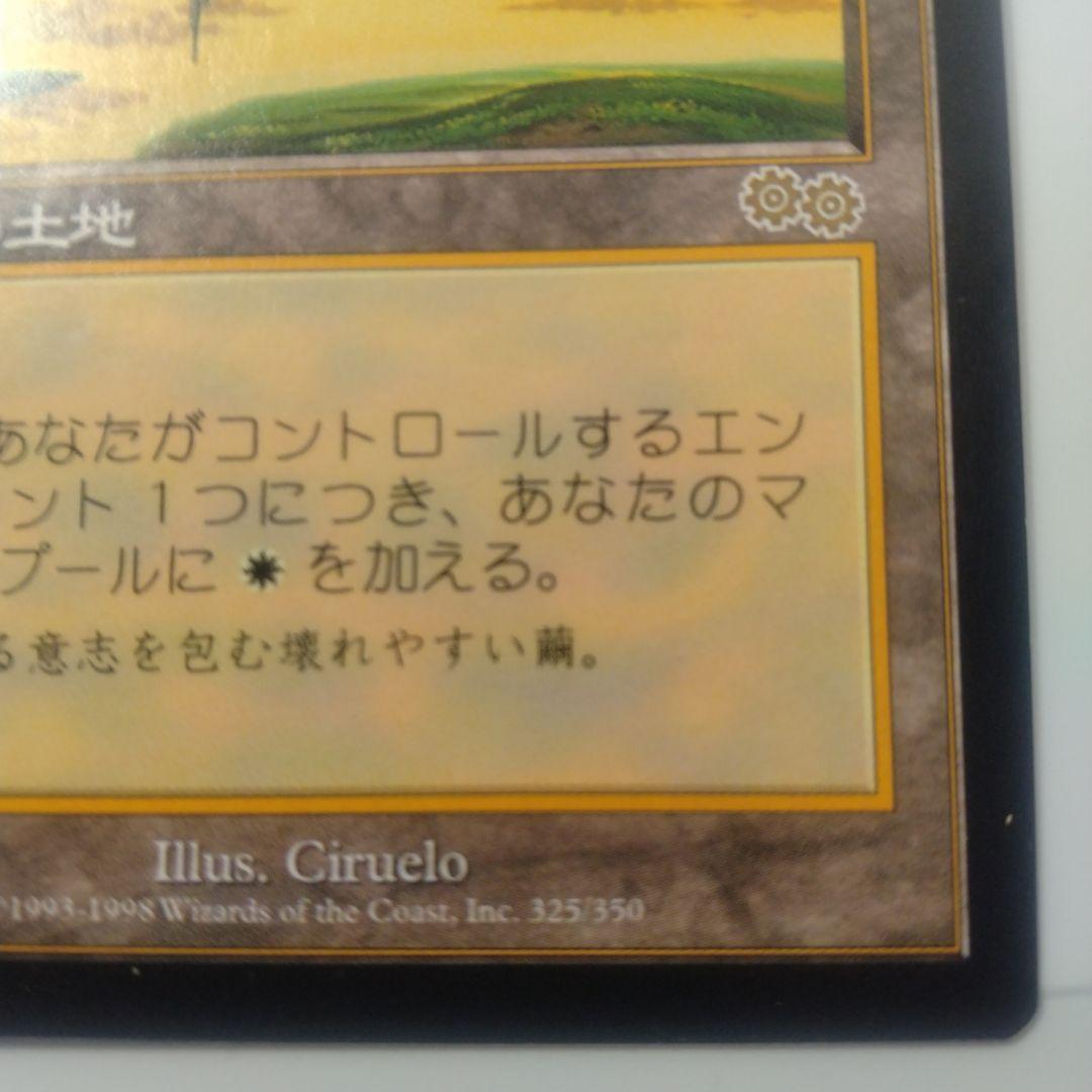 MTG セラの聖域 伝説の土地 マジック：ザ・ギャザリング