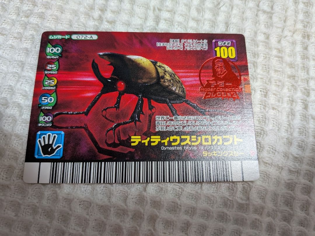 ファディ様確認用