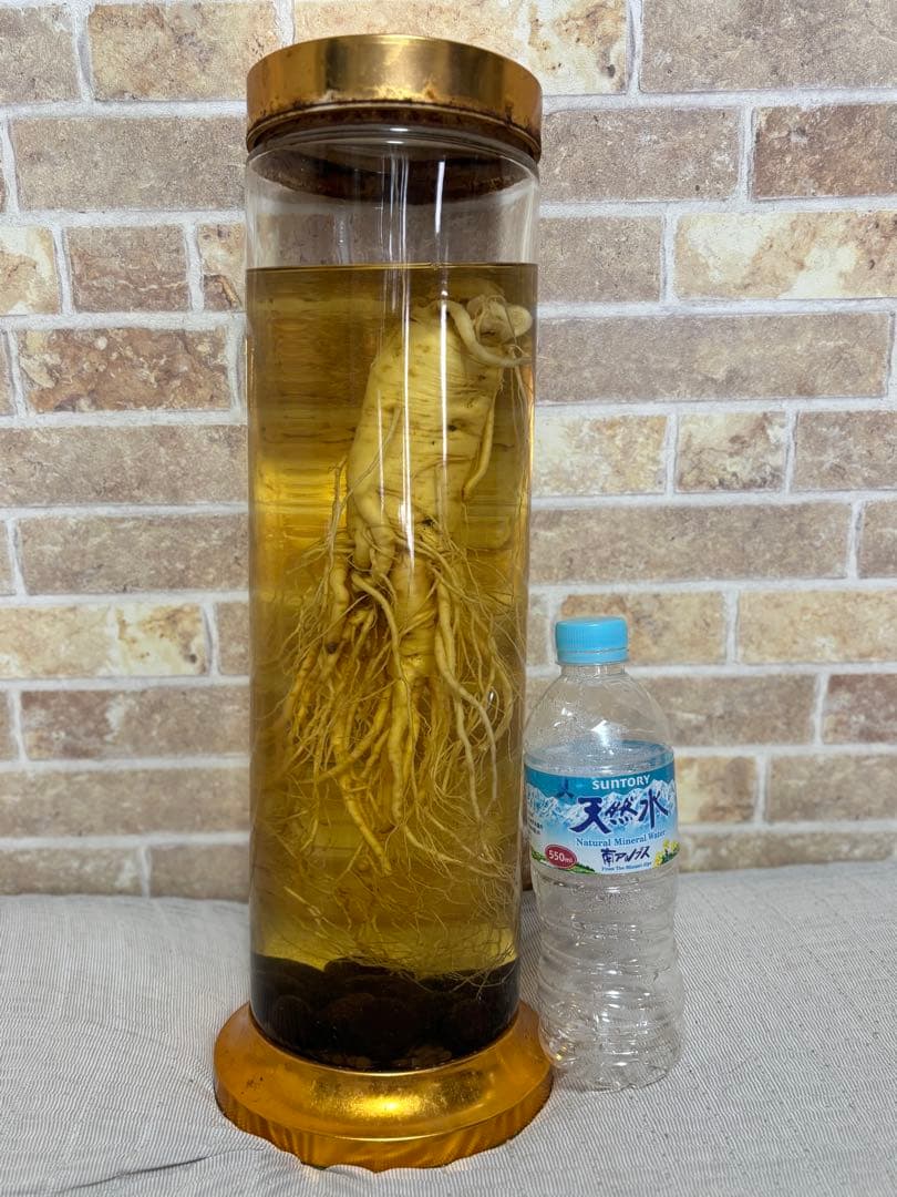 ［お宝］高麗人参のガラス容器