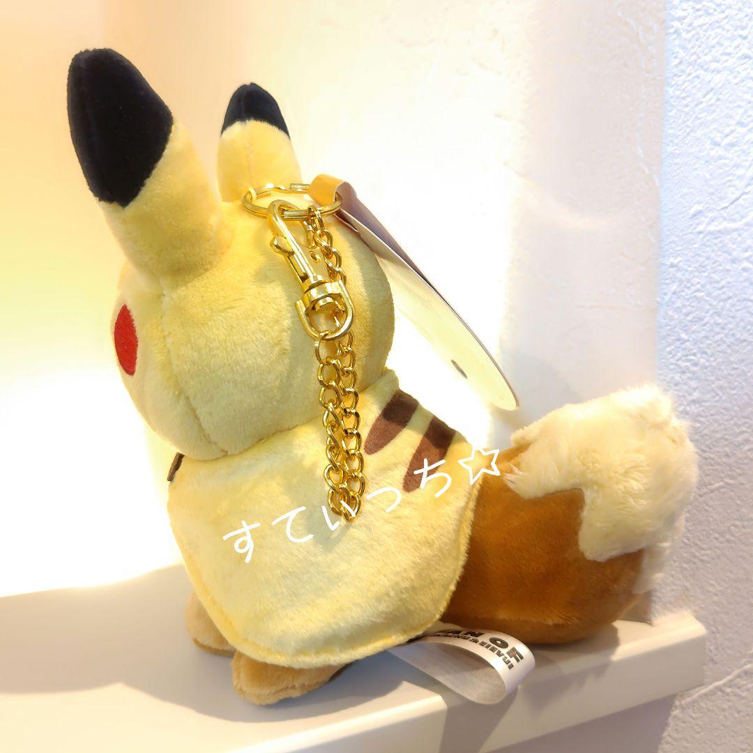 ポケモン ピカチュウのポンチョを着たイーブイ マスコット ピカチュウ ポンチョ