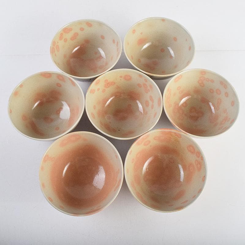 まーぶー　和食器萬古焼八幡窯　水車文数茶碗　十四客　共箱　M　R9415B