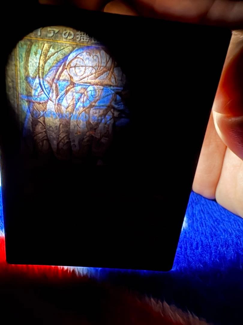 mtg ガイアの揺籃の地　日本語