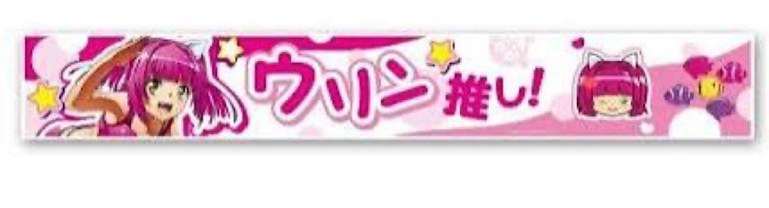 海物語 ウリン タオル Tシャツ