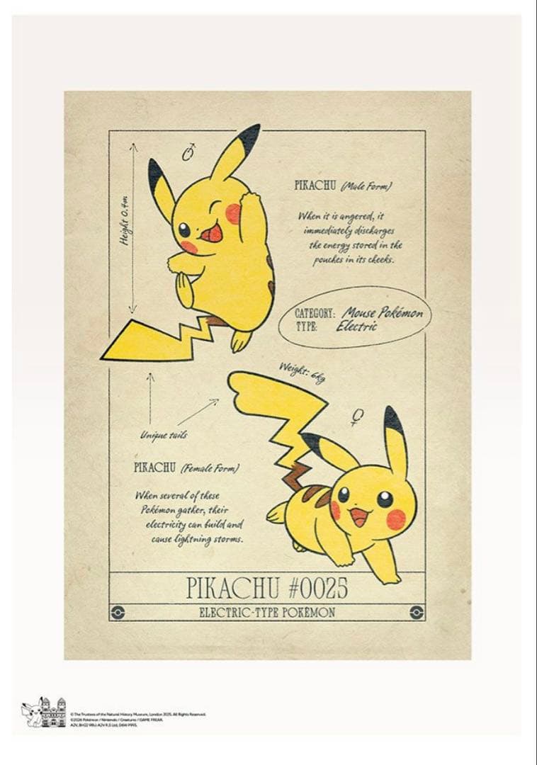 【限定品】ポケモン30周年 ロンドン自然史博物館コラボ A3ポスター ピカチュウ