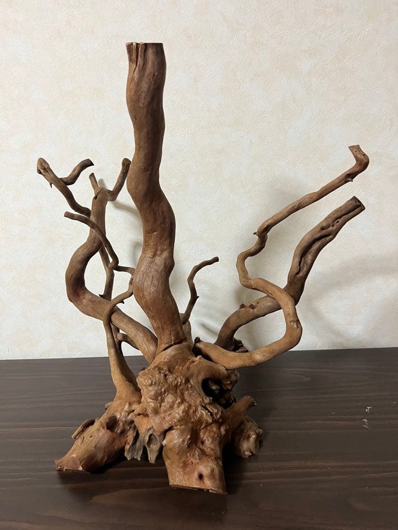 50508 ブランチウッド　流木　アクアリウム 沈水確認済