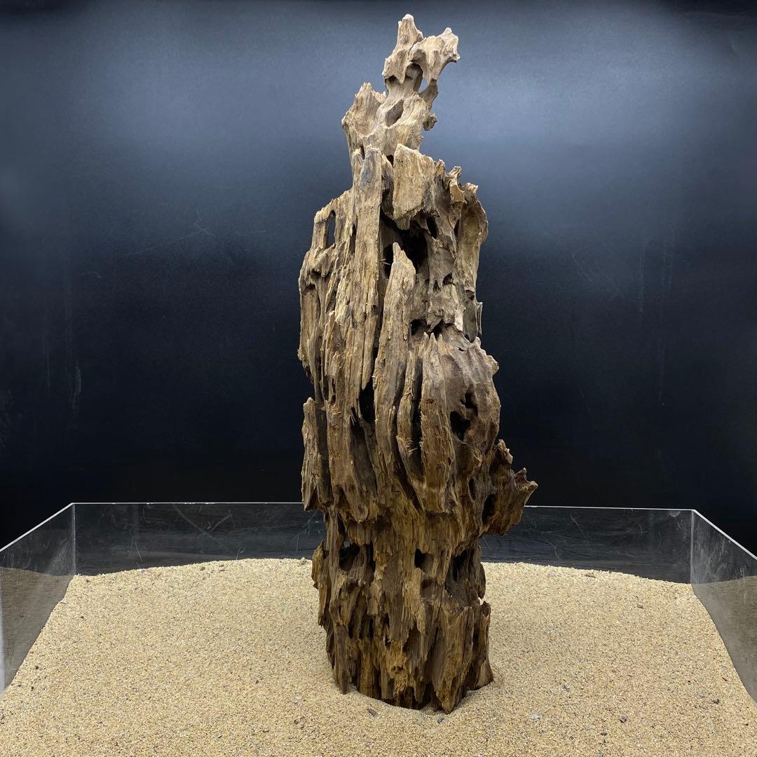 MMW-6463 特大マシンガンウッド　流木　アクアリウム