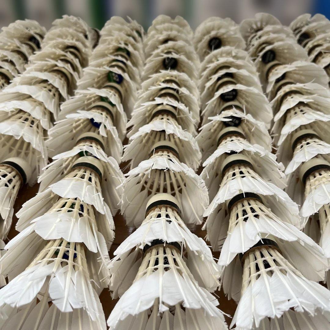 バドミントンシャトル120球