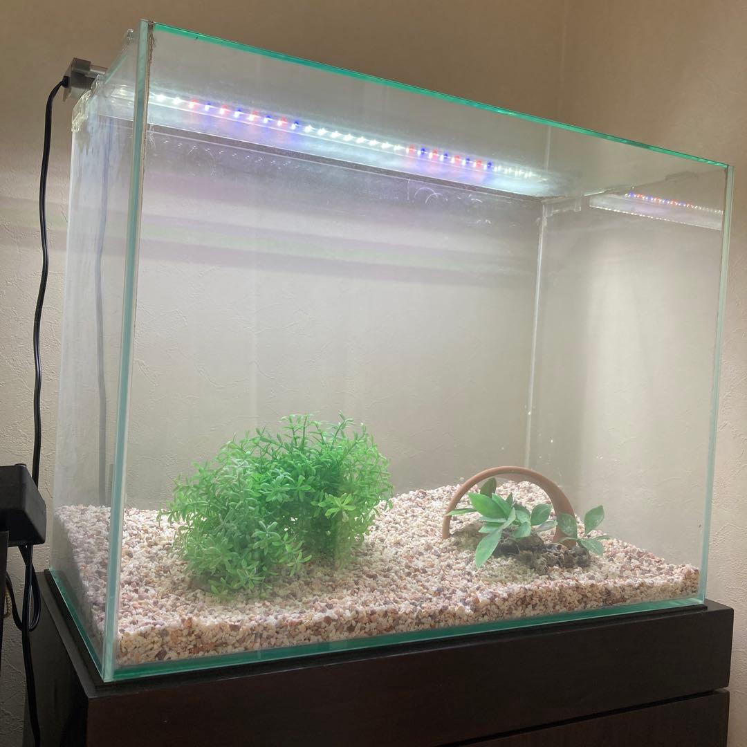 水槽セット　水槽台付き