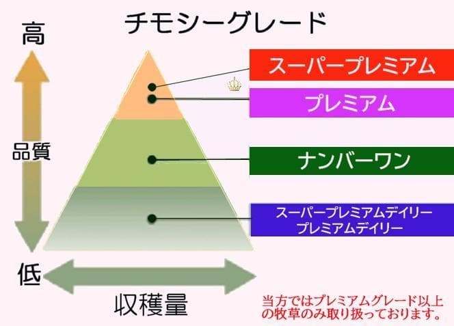 【処分価格】US産 チモシー 50kg ２番刈 ソフトSプレミアム