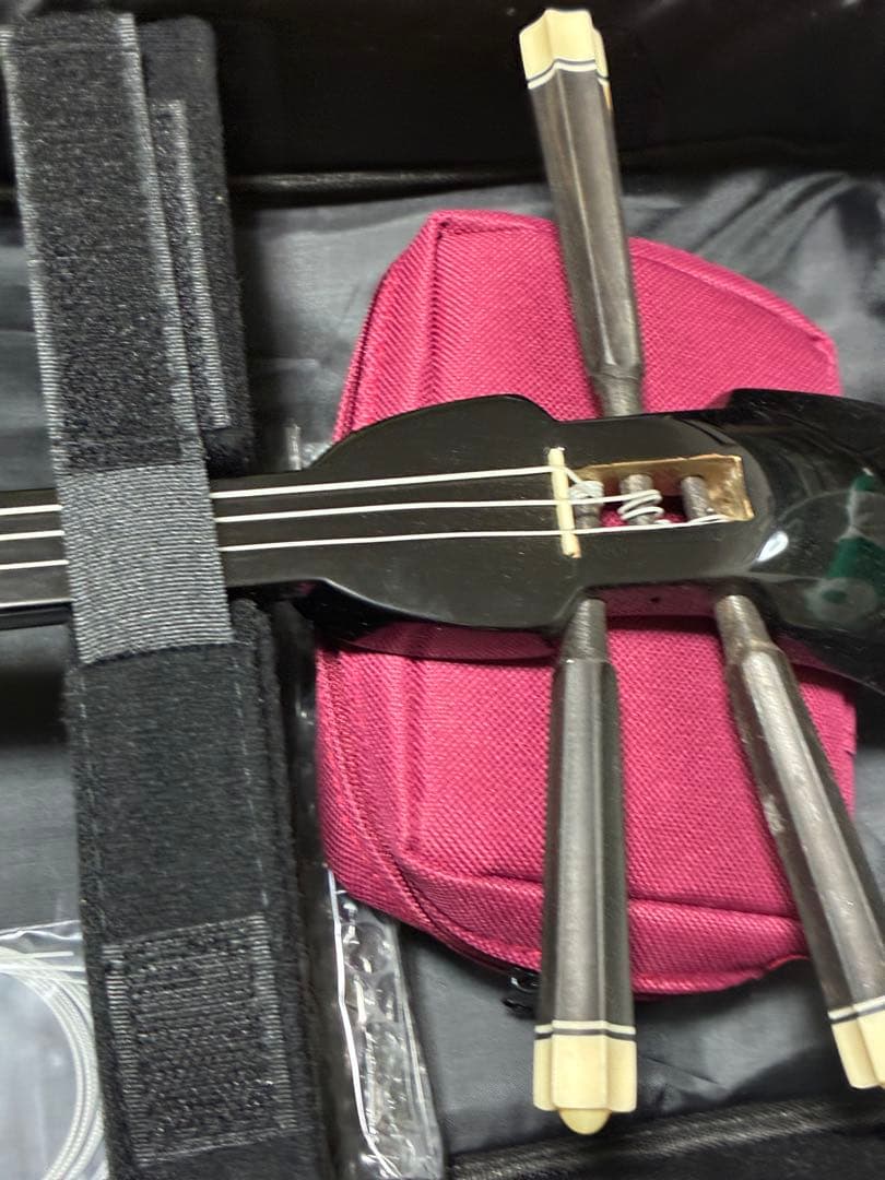 三線本体 ヘビ柄 ケース付き