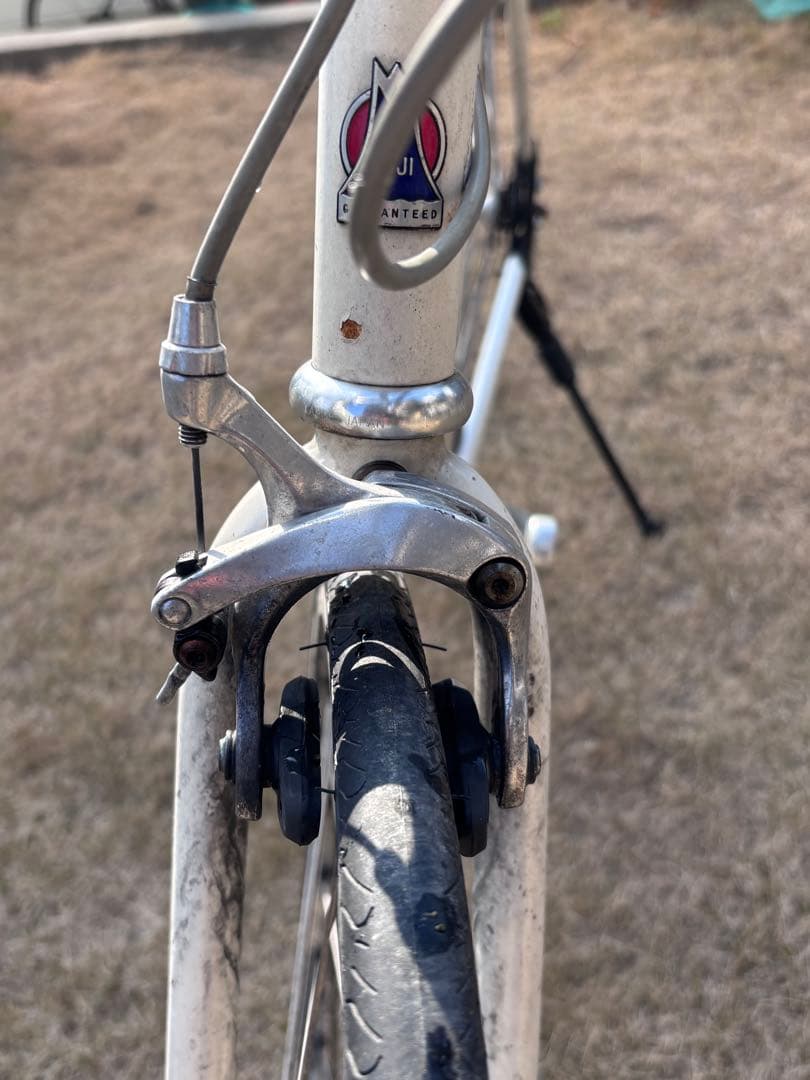 Fuji Stroll フジストロール ピストバイク