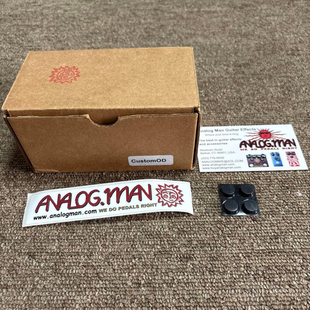 ギター analogman prince of tone