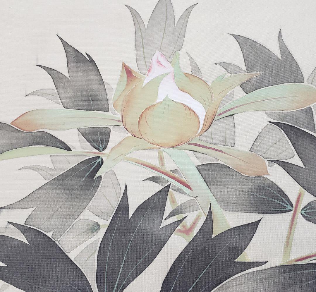 【牡丹図】里暁 2596 ボタン 共箱　掛け軸　肉筆