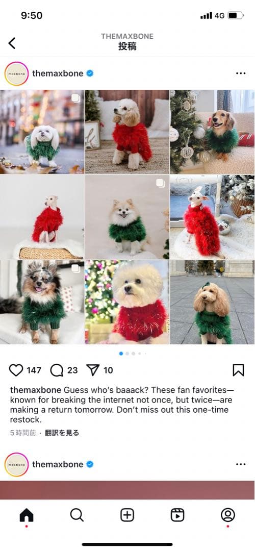 犬服・アクセサリー maxbone Christian Holiday Glitz Jumper