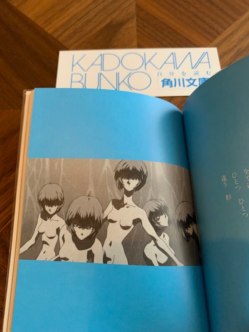 ⭐️エヴァンゲリオン　フォトグラフ　REI