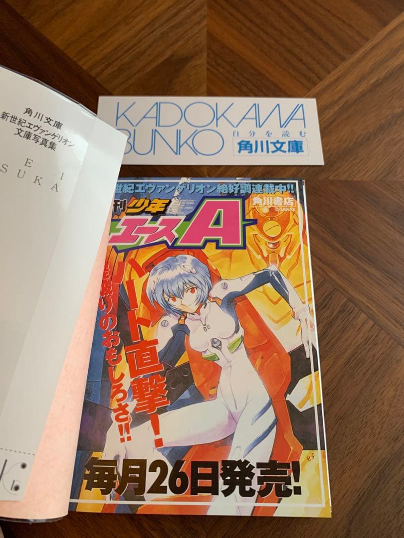 ⭐️エヴァンゲリオン　フォトグラフ　REI