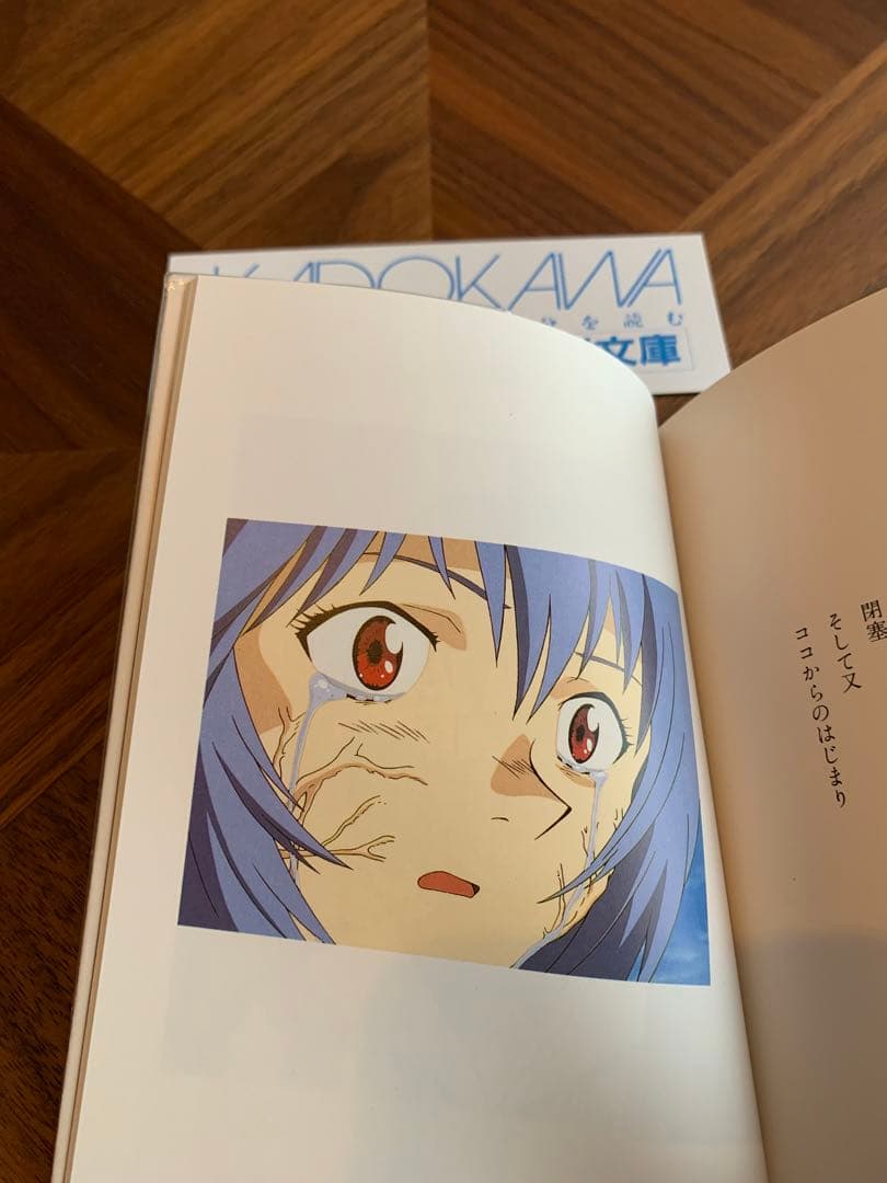 ⭐️エヴァンゲリオン　フォトグラフ　REI