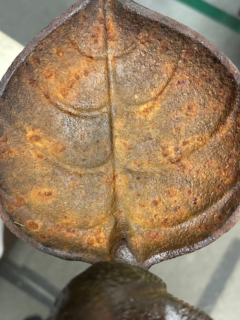 バードバス バードフィーダー 野鳥 エサ台 水飲み台 水浴び 鳥 庭 ガーデン