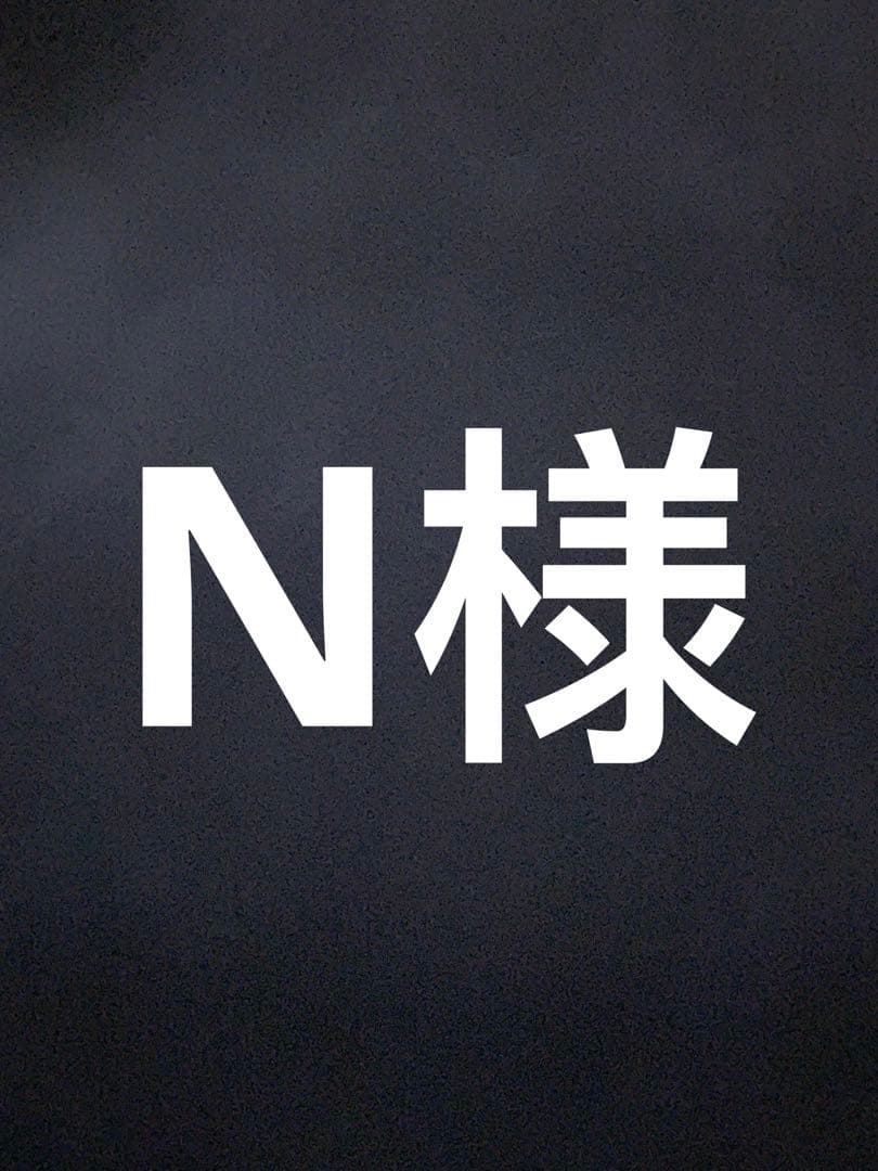 N様 ルッチ 普通段ボール版
