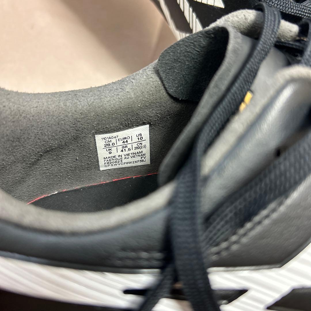 ASICS DS LIGHT X-FLY5 28センチ