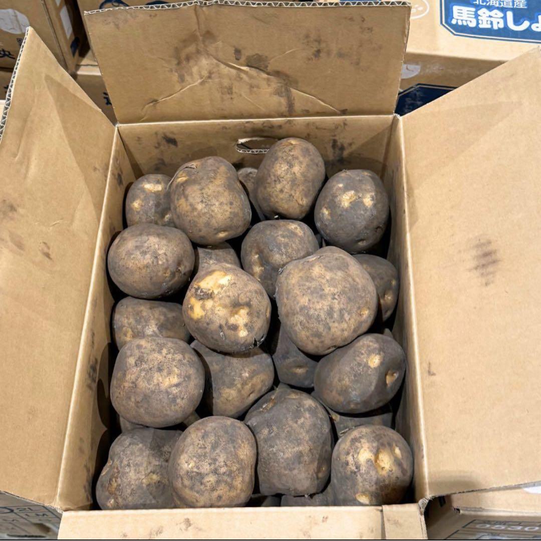 特大　馬鈴薯　じゃがいも　玉ねぎもあるよ　02