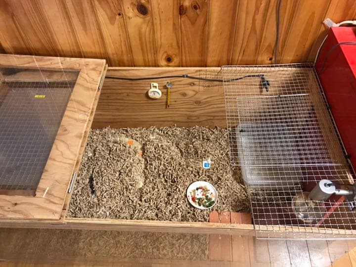 爬虫類、ハムスター、モルモット等 ゲージ作成