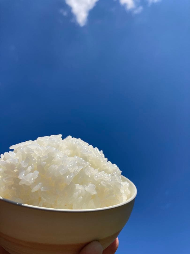 こだわりのお米　つきあかり　生産者直送　令和7年度産　精米10キロ