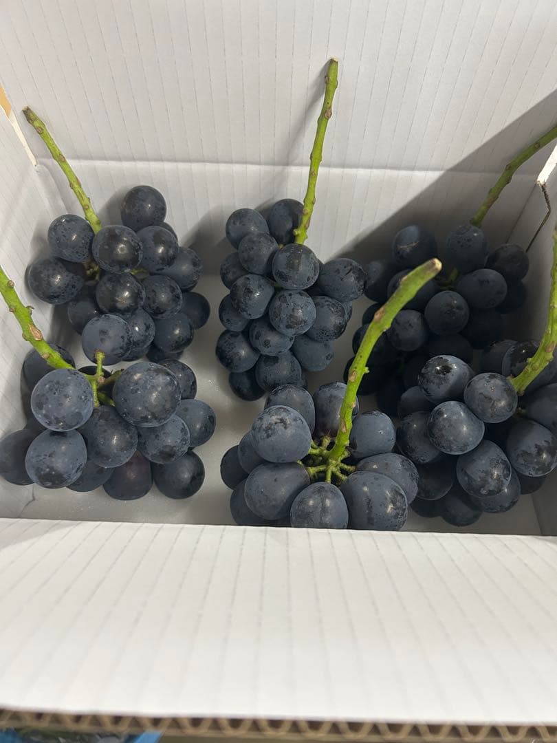 ナガノパープル　家庭用　4キロ