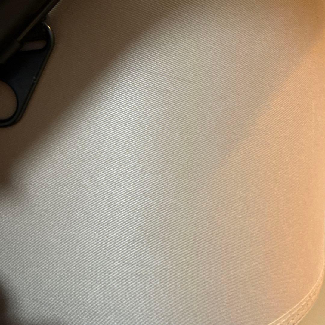 エアバギー ドーム3 ラージサイズ　ペットカート