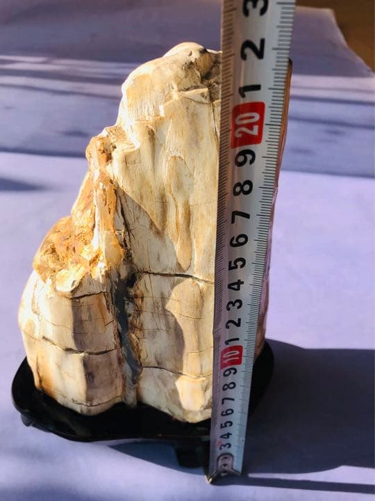 木化石（重さ2120克）珪化木鑑賞石 景石 天然石 台付き 銘石 （2点セット）