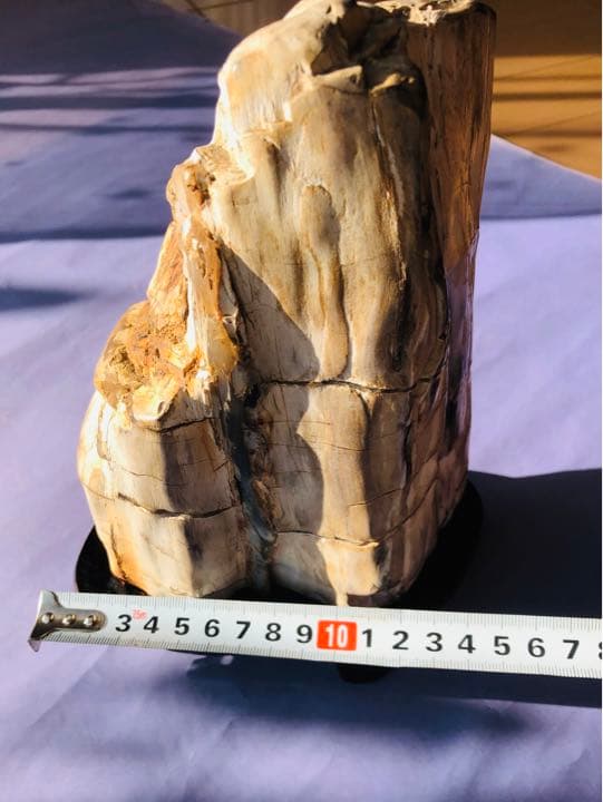 木化石（重さ2120克）珪化木鑑賞石 景石 天然石 台付き 銘石 （2点セット）