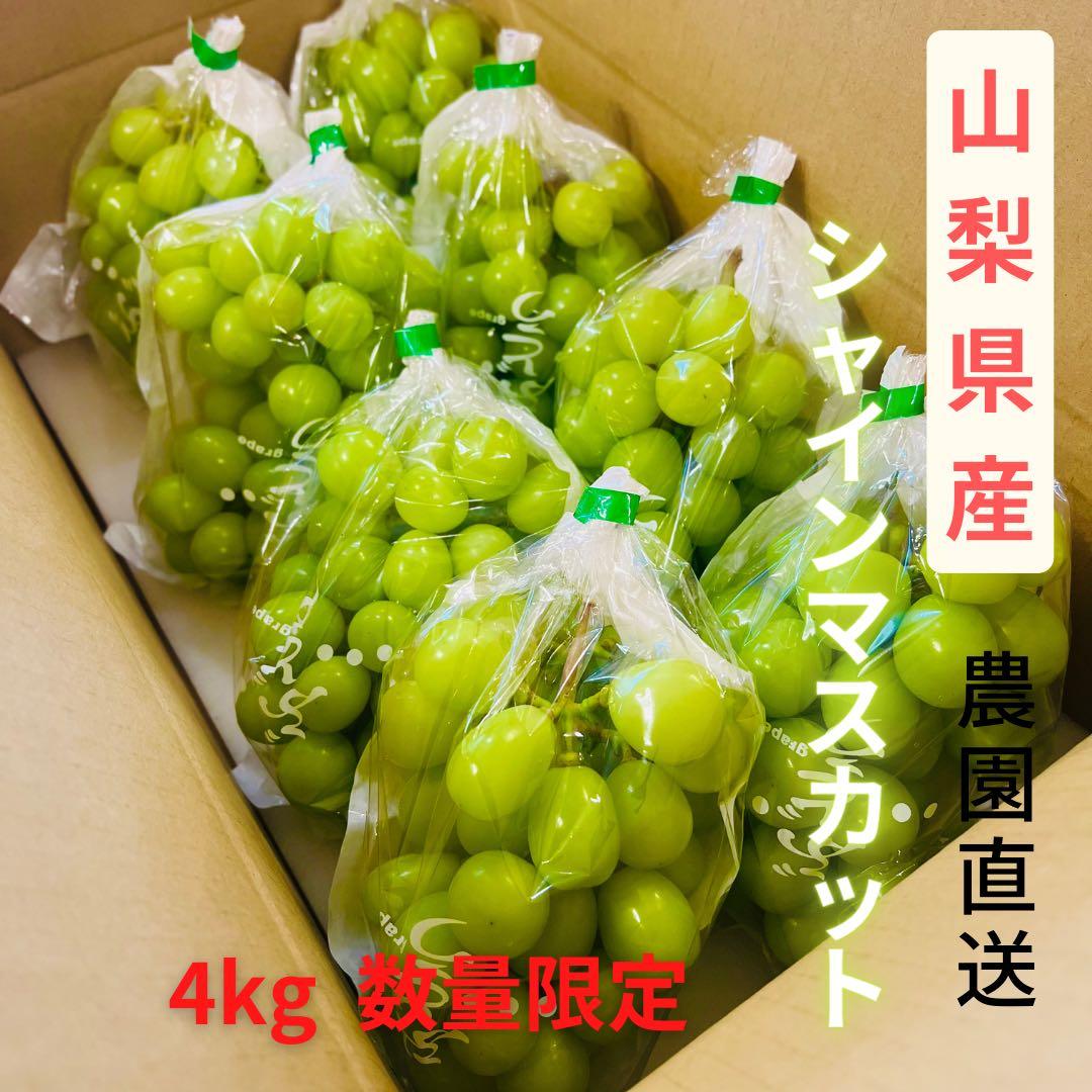 【シャインマスカット4キロ】山梨県産シャインマスカット 化粧箱・送料込み