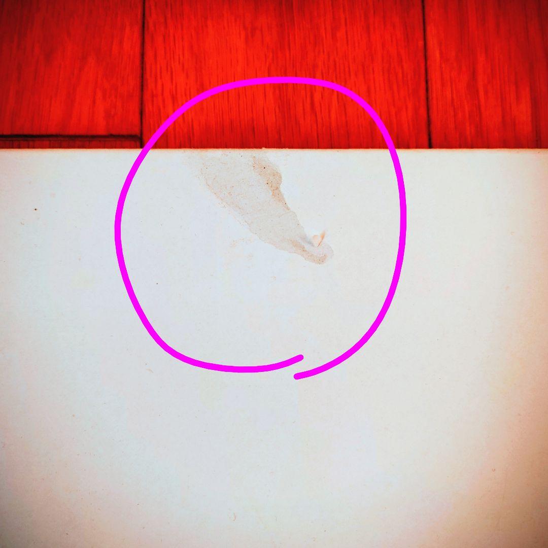 志水ゆき 25周年記念原画展　複製原画 　是-ZE-　阿沙利＆彰伊