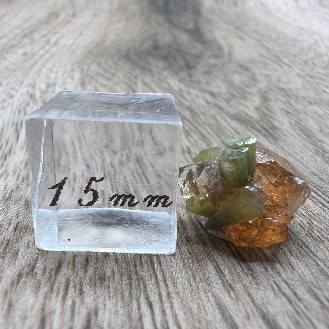 ヘソナイト ガーネット ダイオプサイト 共生 鉱物 標本 原石