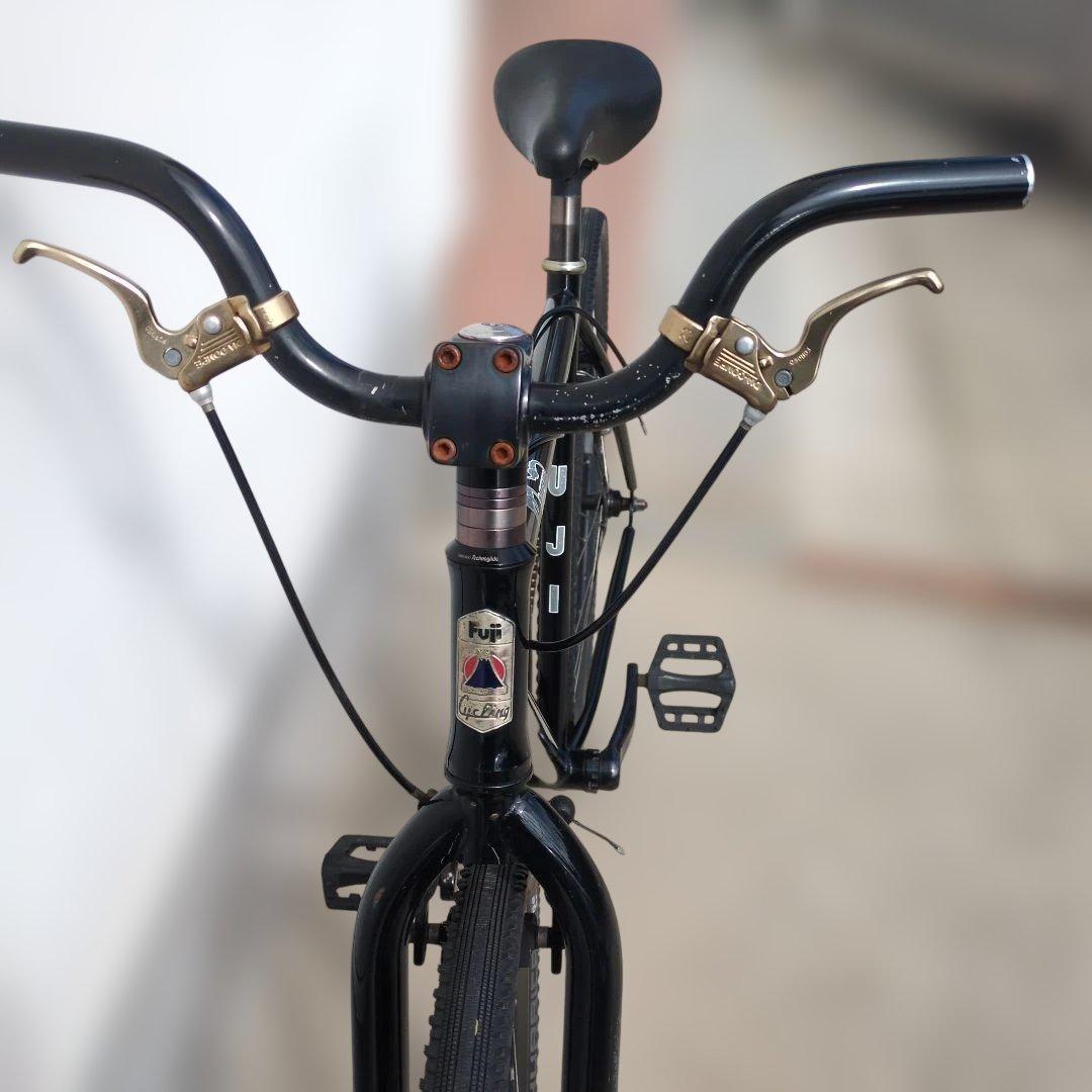 【なすび】　FUJI VENOM フジ ヴェノム / ベノム