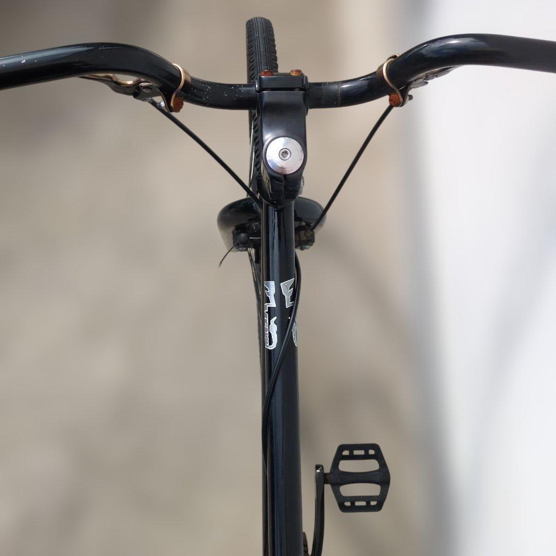 【なすび】　FUJI VENOM フジ ヴェノム / ベノム