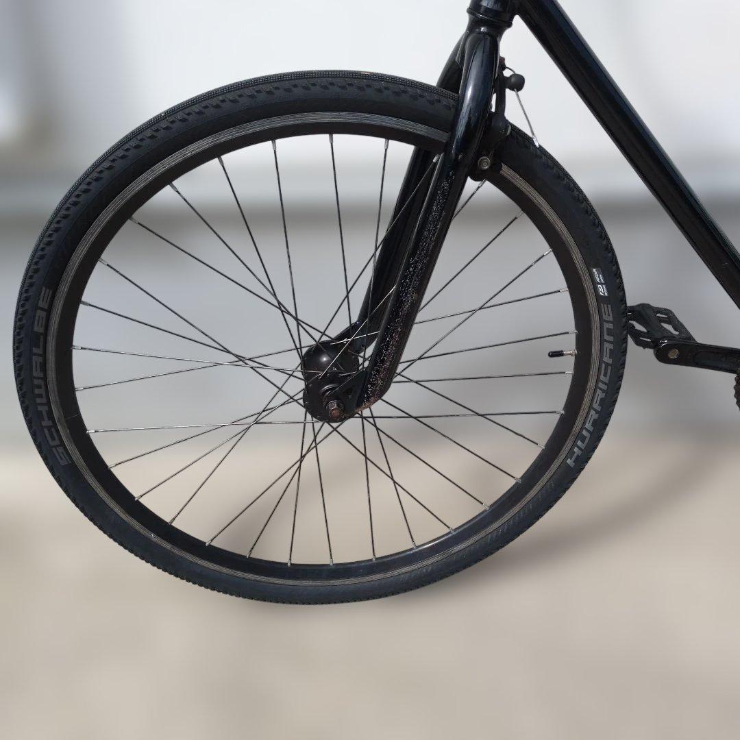 【なすび】　FUJI VENOM フジ ヴェノム / ベノム