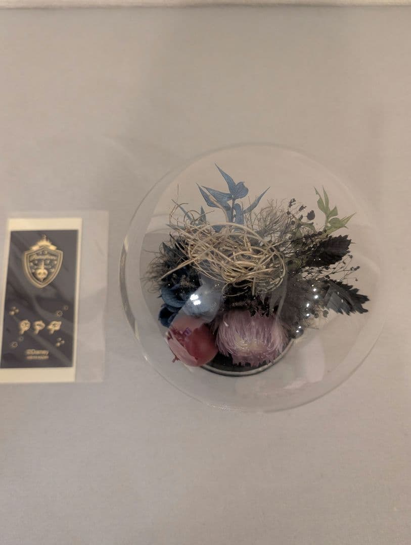 【新品】ツイステ　ポムフィオーレ　フラワードーム