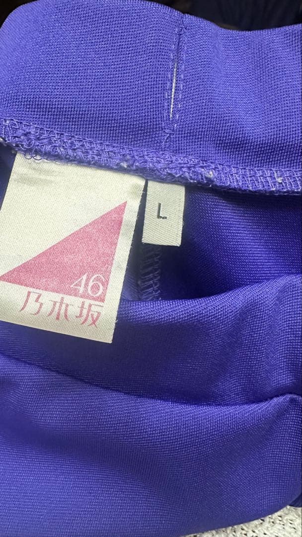 乃木坂46 ジャージ上下セット L 西野七瀬