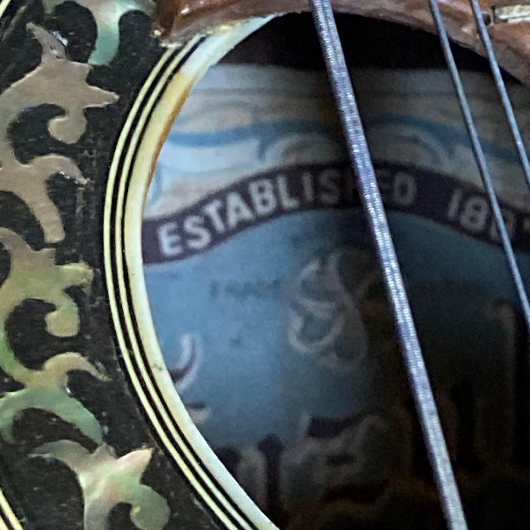 マンドリン　SUZUKI