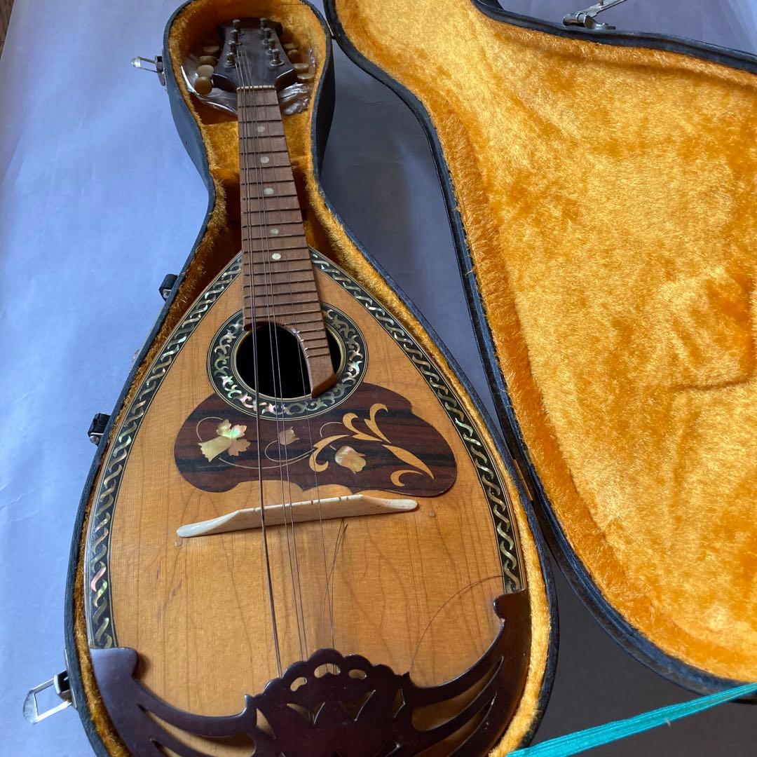 マンドリン　SUZUKI