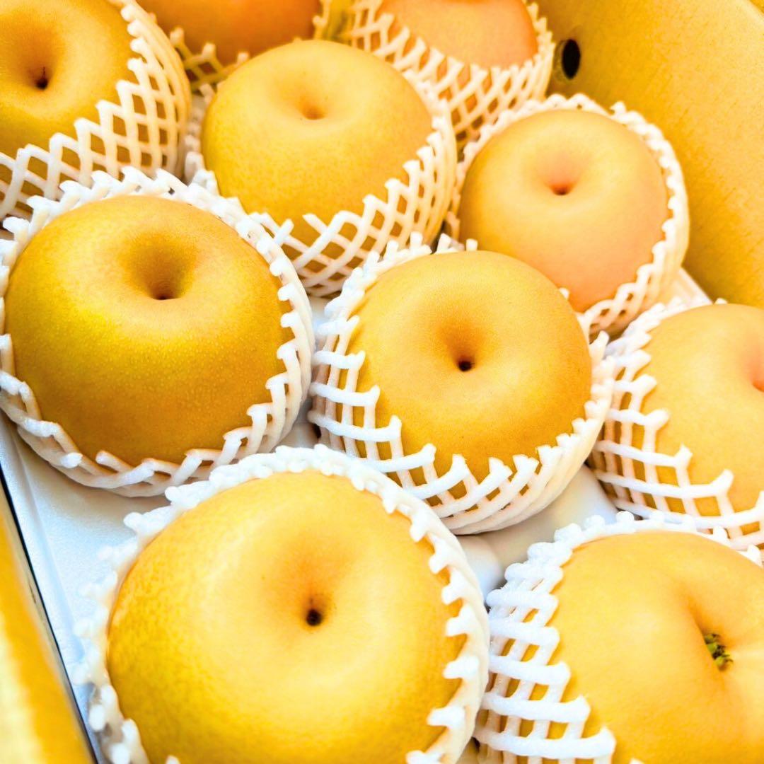 梨　新高梨　40玉　　03