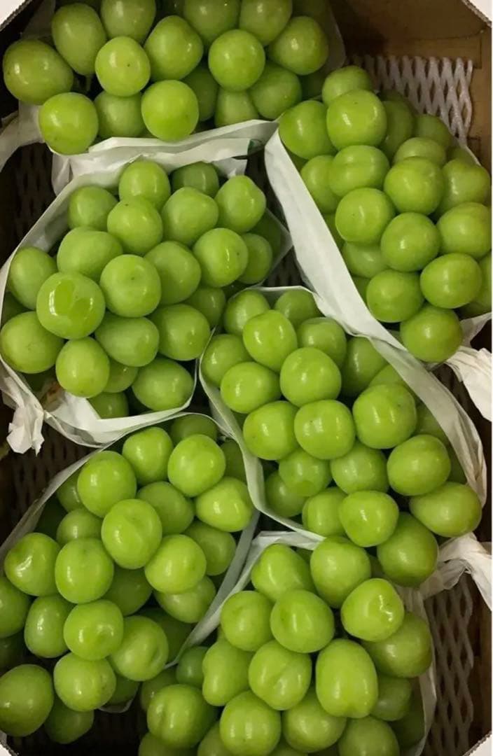 山梨県産　シャインマスカット　葡萄　ブトウ　ぶとう　箱込み5kg