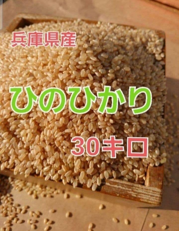 数量限定！！令和7年度　兵庫県産　ひのひかり 30キロ