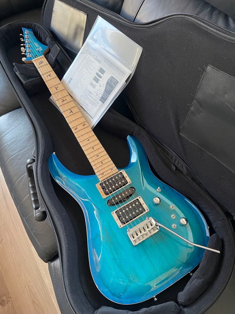 【激レア】G-Life Guitars DSG Classic ロイヤルブルー