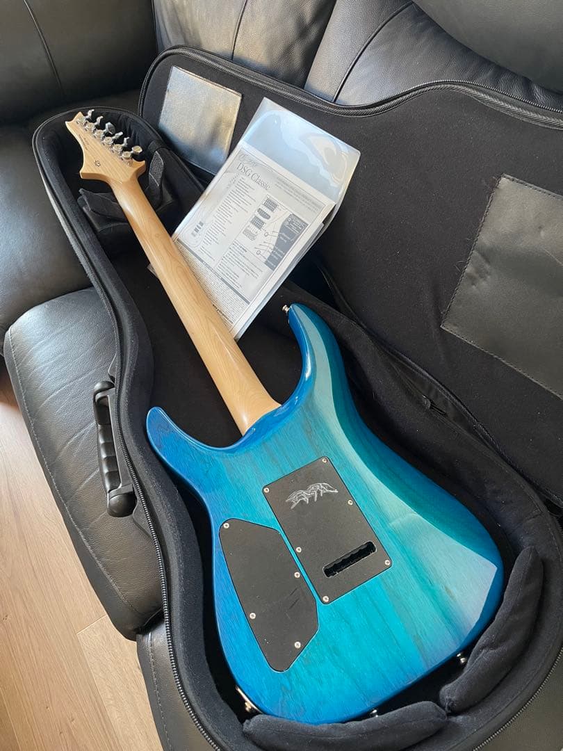 【激レア】G-Life Guitars DSG Classic ロイヤルブルー