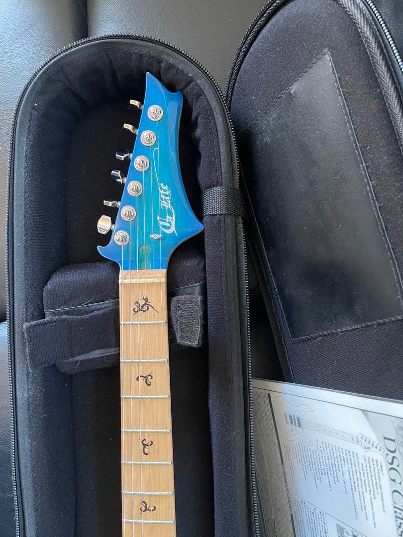 【激レア】G-Life Guitars DSG Classic ロイヤルブルー